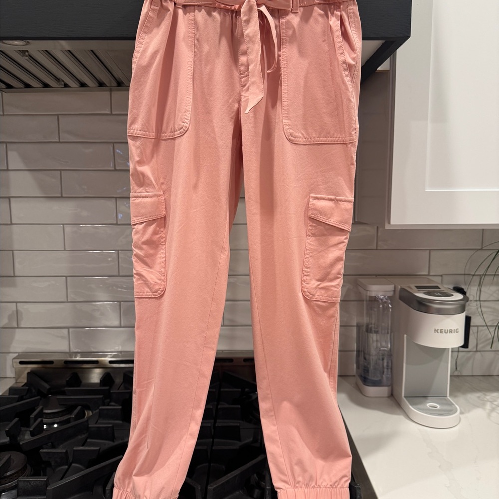 Banana Republic Blush Pink Trousers
